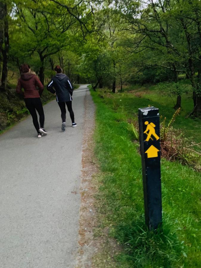Wicklow Way Lodge Экстерьер фото