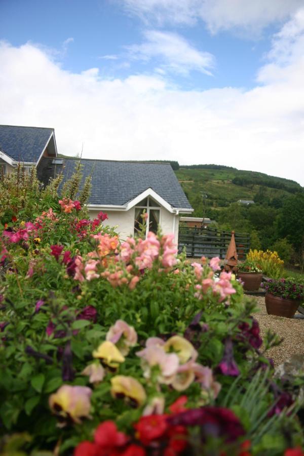 Wicklow Way Lodge Экстерьер фото