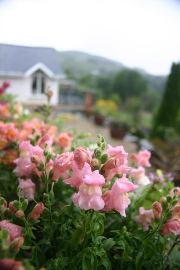Wicklow Way Lodge Экстерьер фото