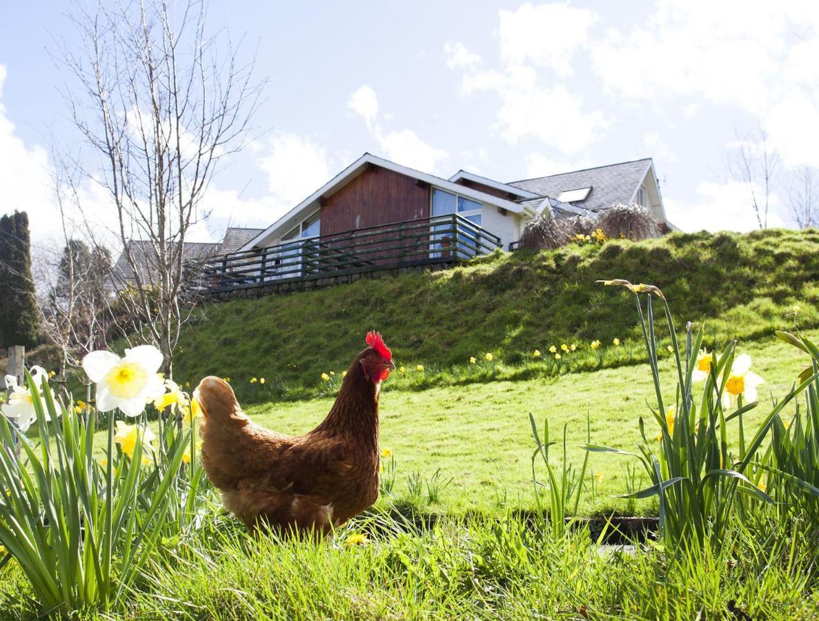 Wicklow Way Lodge Экстерьер фото